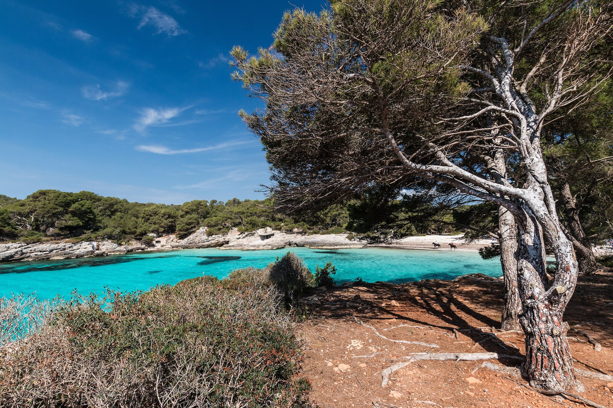 Cala en Turqueta, Menorca (photo 4 of 5)